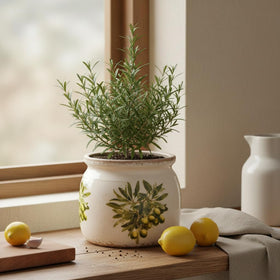 Xiaan Jiaju 6-inch Tuscan planter ideal for indoor plants and centerpieces.