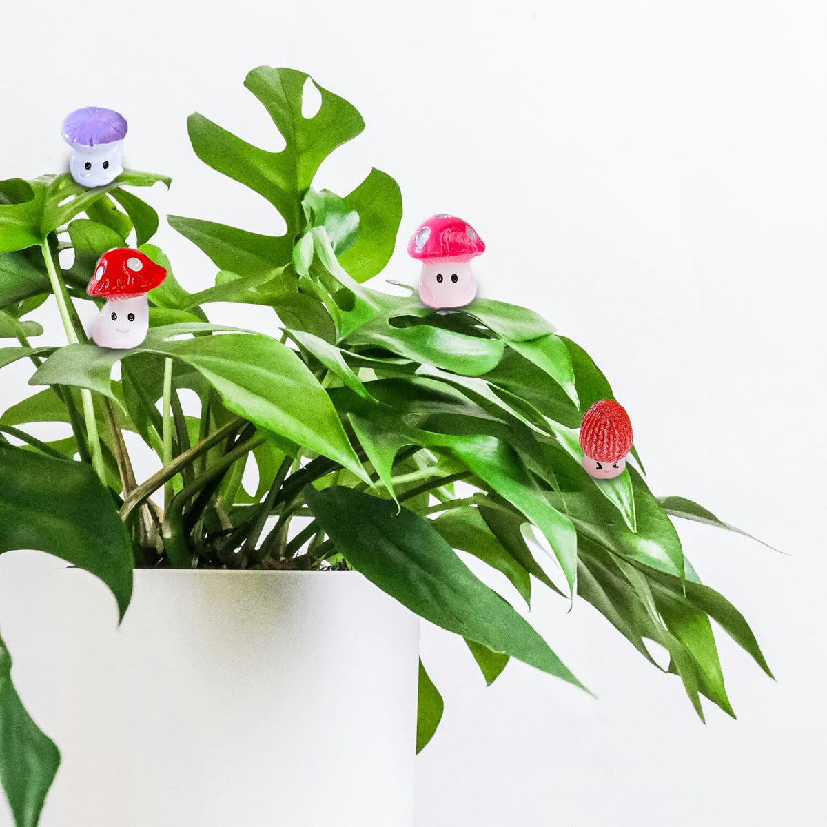 Xiaocmm six-piece mushroom magnets kit demonstrates versatile arrangement options.