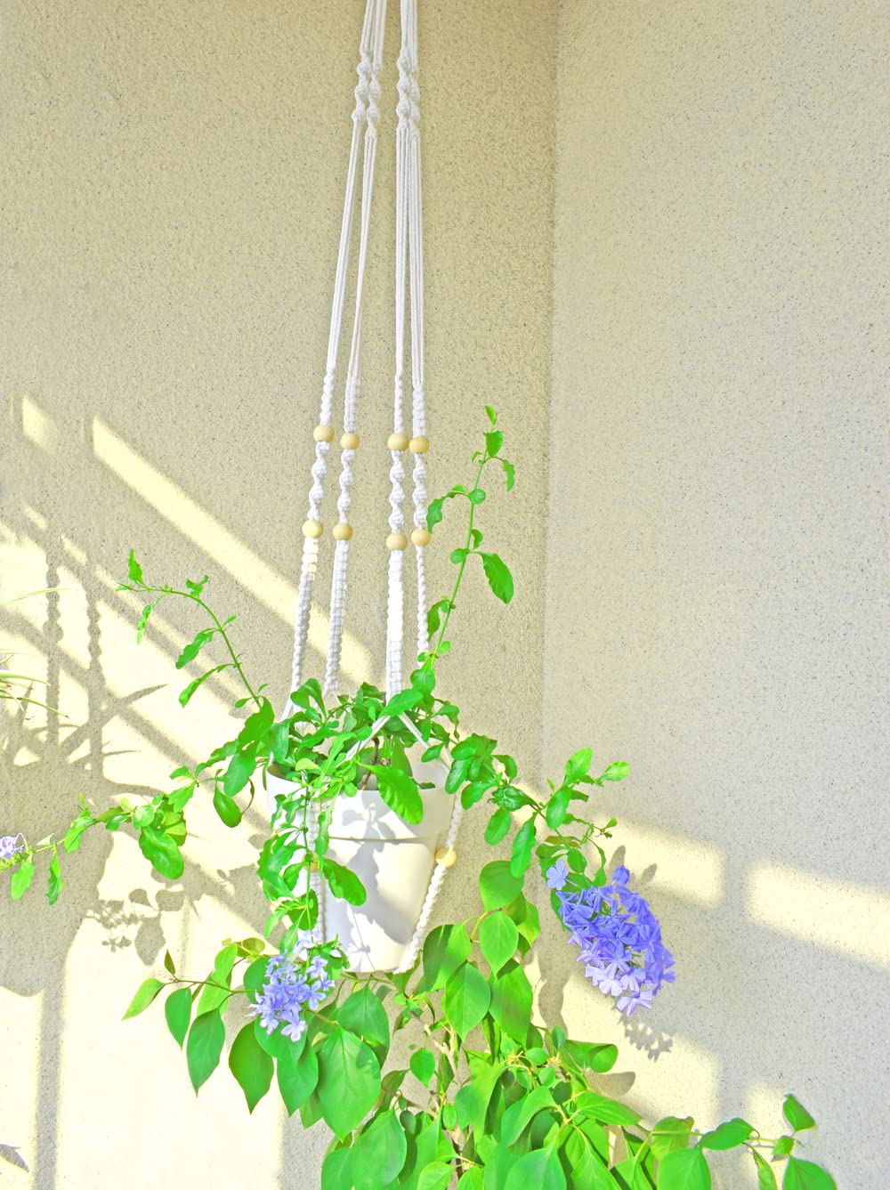 Indoor hanging solution that enhances a room while keeping floors clear