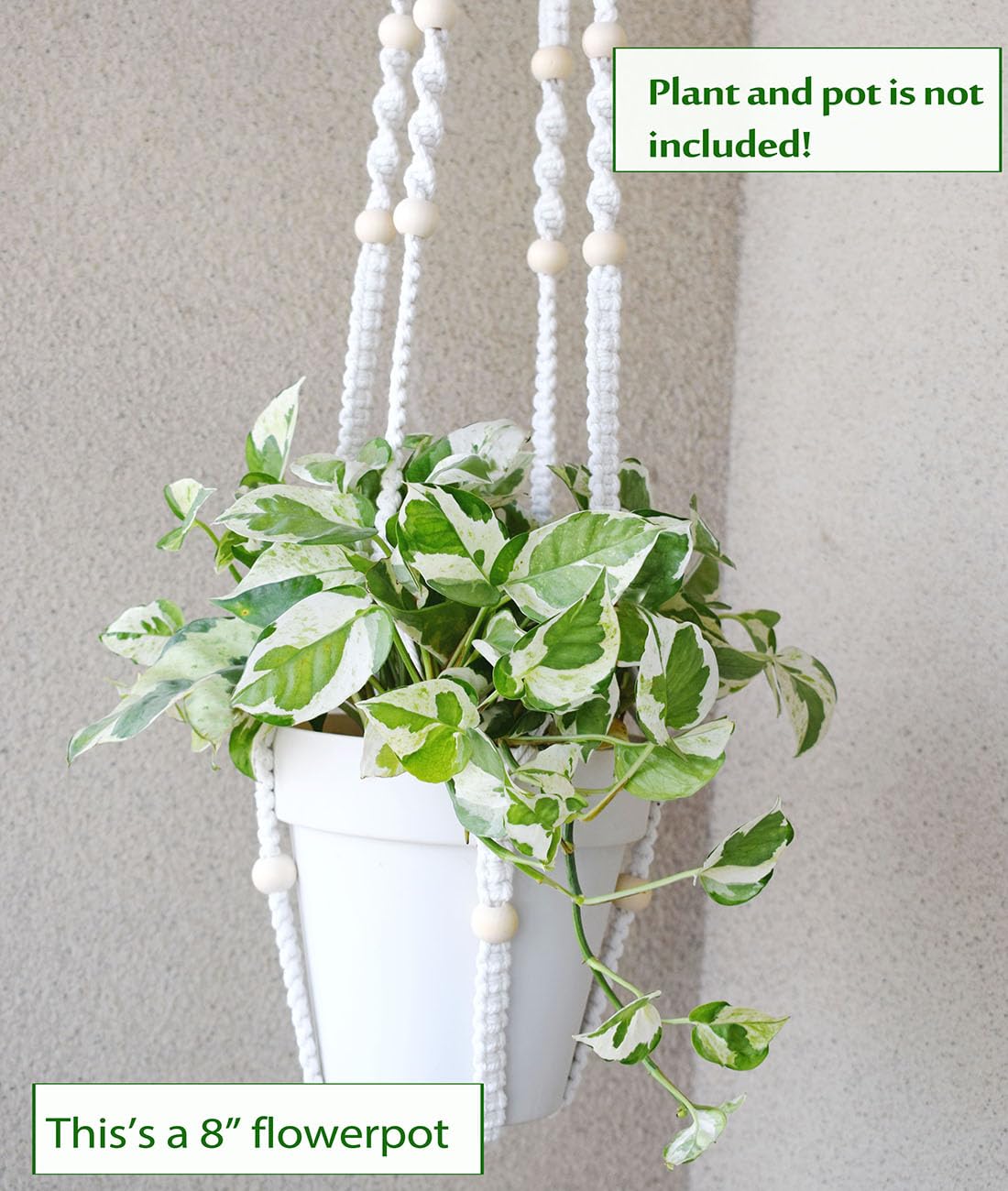 Xibelezal macrame hanger with beads adds texture and visual appeal to indoor greenery