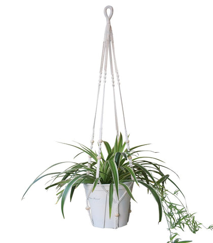 Xibelezal macrame plant hanger extra long 52in showcases a dramatic ceiling display for tall spaces