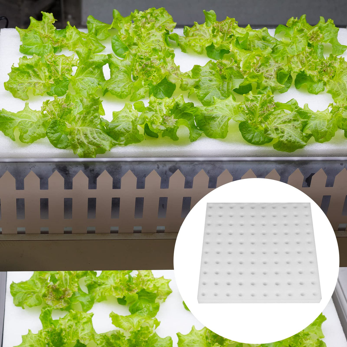 XIDAJIE 100-piece sheet per block supports steady planting supplies