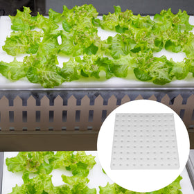 XIDAJIE 100-piece sheet per block supports steady planting supplies
