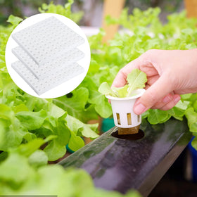 XIDAJIE greenhouse seedling sponges ideal for greenhouse and nursery use