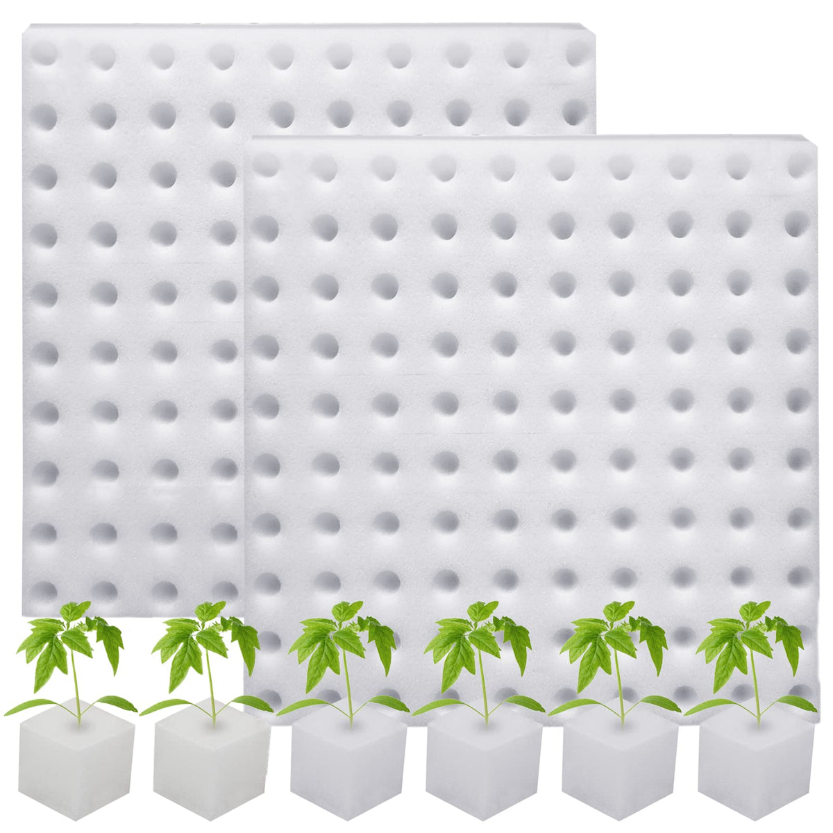 XIDAJIE hydroponic sponges blocks for seedling setup and transplant comfort