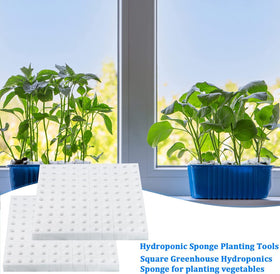 XIDAJIE PU sponge blocks deliver clean, efficient growing media