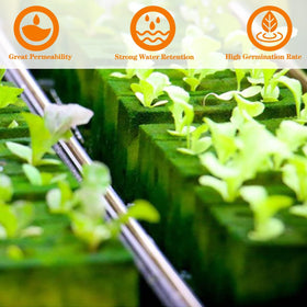 XidaJie rockwool cube root development in early seedling stage.