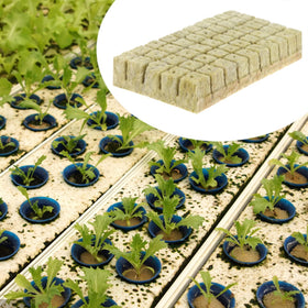 XidaJie rockwool usage guide image illustrating seed starting steps.
