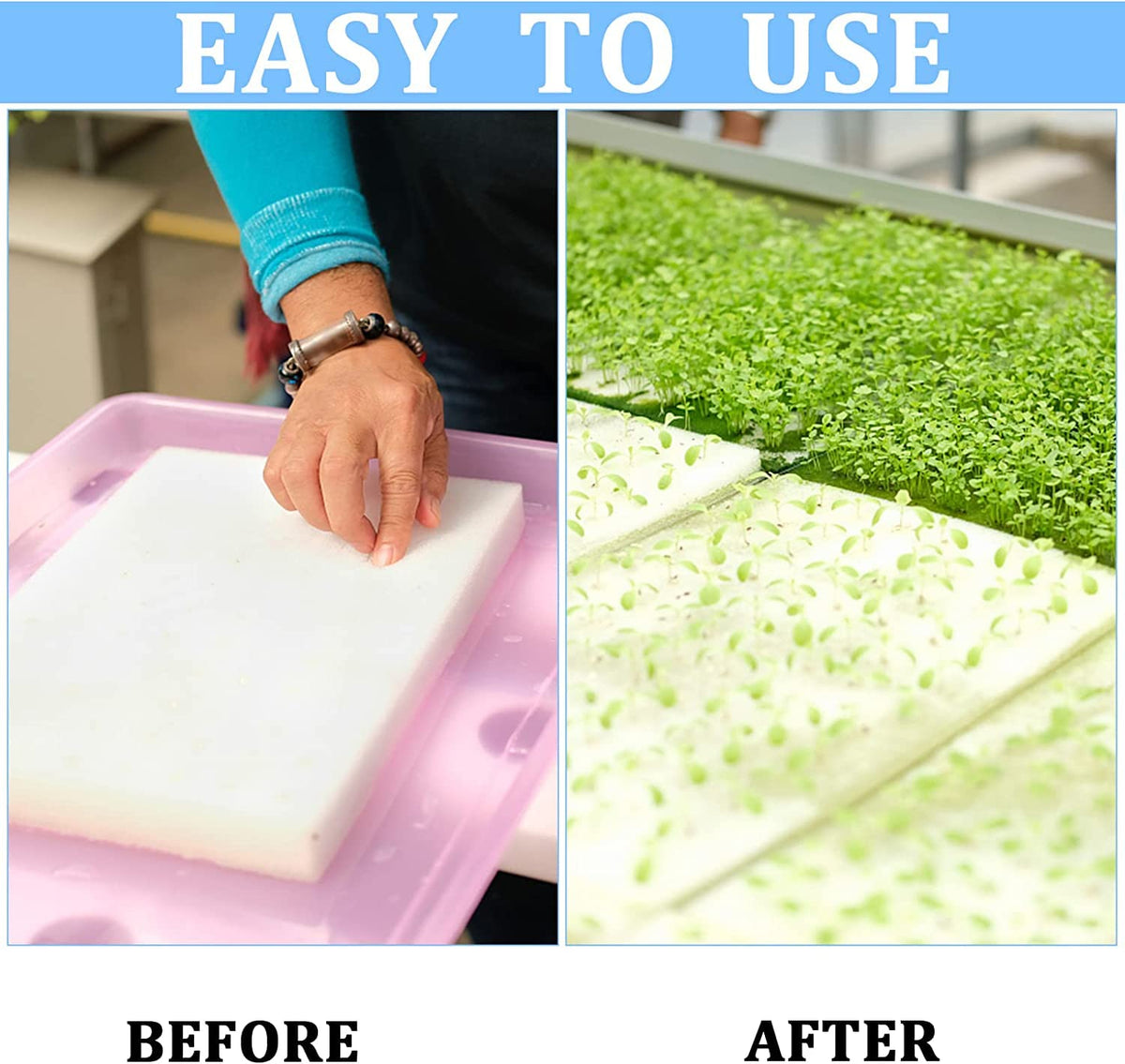 XIDAJIE seedling transplant sponges fit 1.8-inch net cups