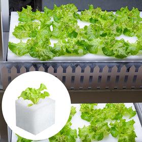 XIDAJIE small square sponge blocks designed for precise transplanting