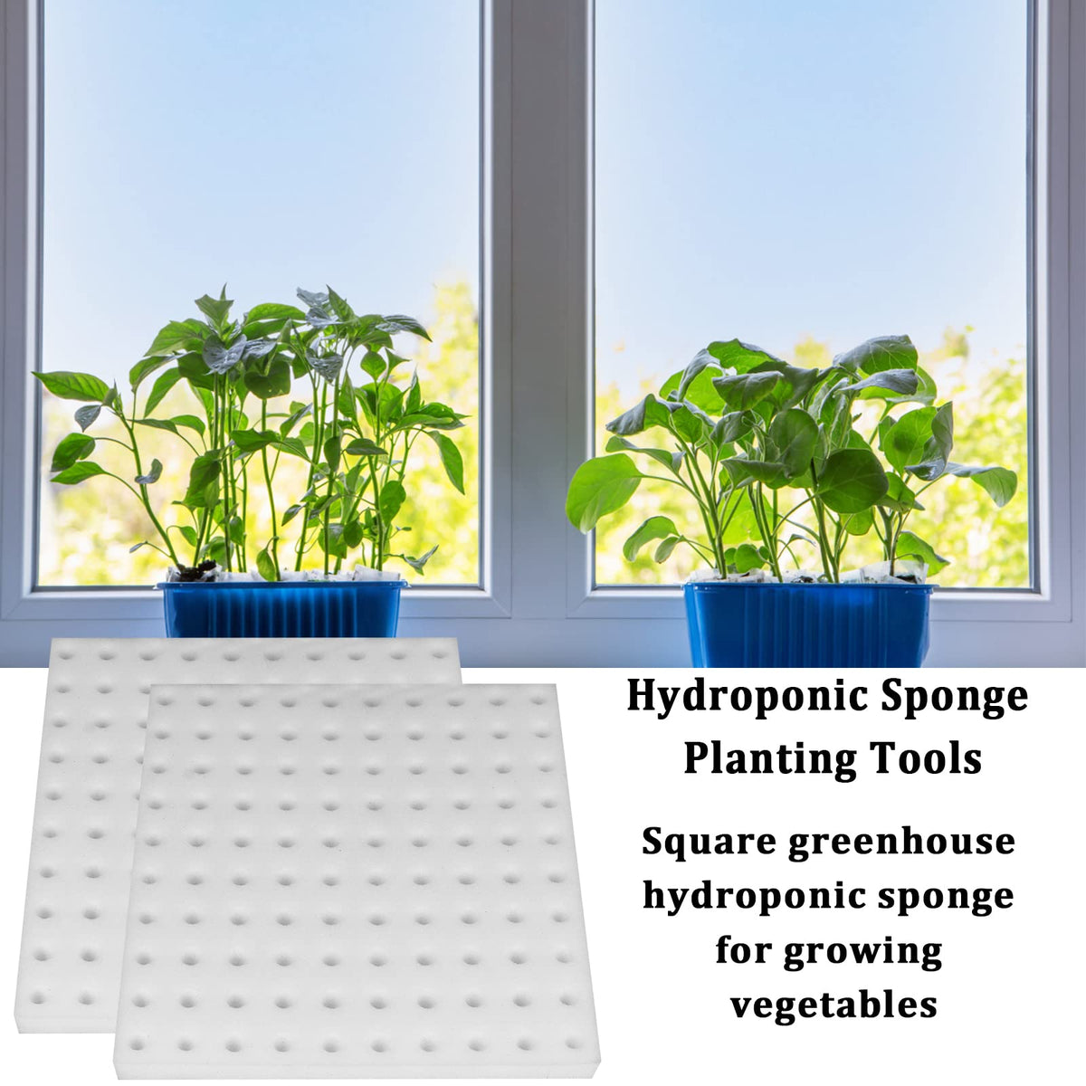 XIDAJIE soilless cultivation sponges improve root breathing and vigor