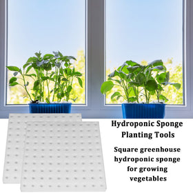 XIDAJIE soilless cultivation sponges improve root breathing and vigor