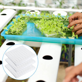 XIDAJIE soilless cultivation sponges promoting air around roots
