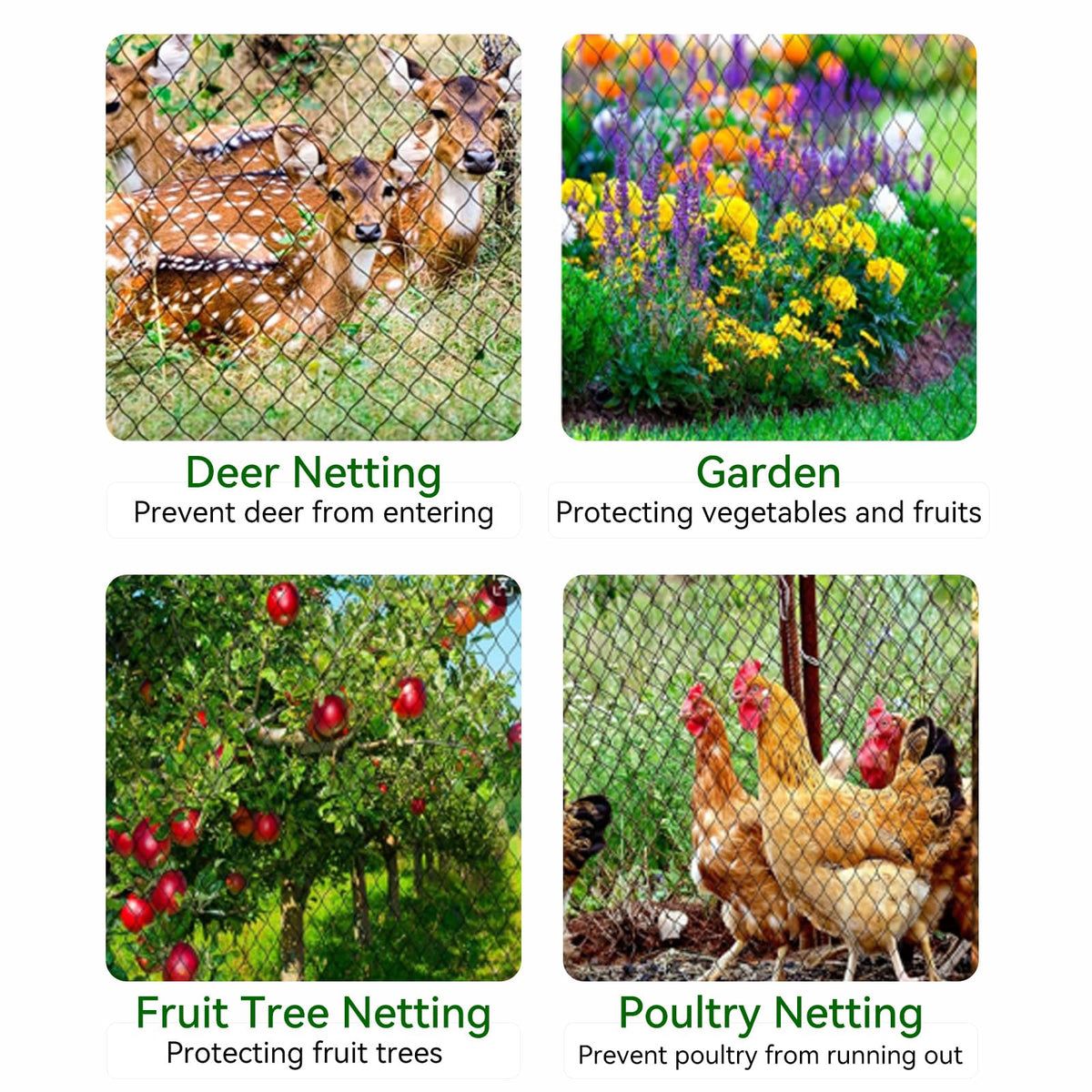 Xihakey garden berry netting guards blueberries from birds