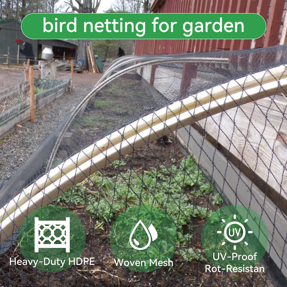 Xihakey half-inch diamond mesh blocks birds while letting sunlight through