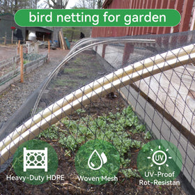 Xihakey half-inch diamond mesh blocks birds while letting sunlight through
