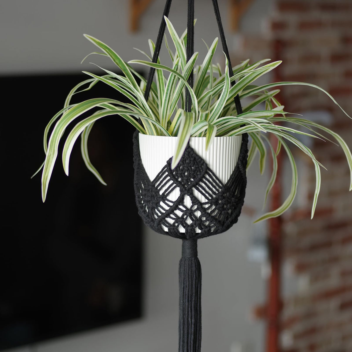 XINBOR hanging planter patterns 2-pack adds boho charm and supports up to 8-inch pots.