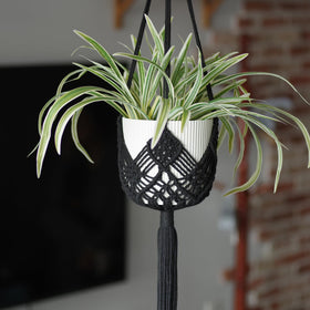 XINBOR hanging planter patterns 2-pack adds boho charm and supports up to 8-inch pots.