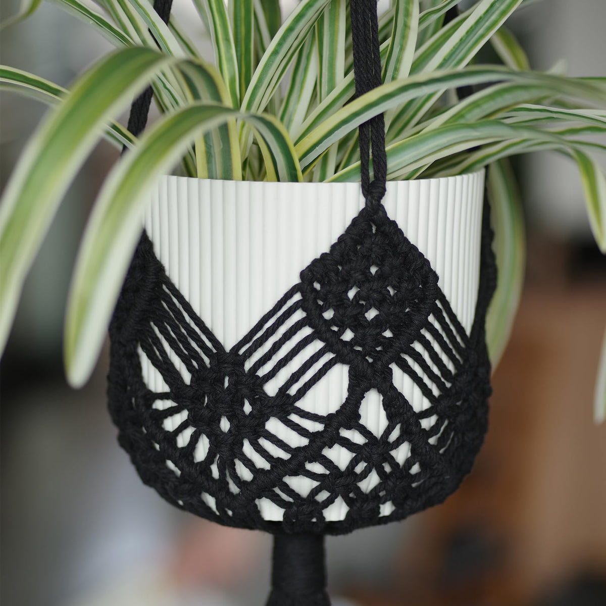 XINBOR 8-inch pot compatibility shows versatile use with various planters.