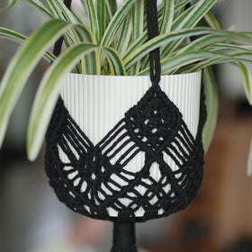 XINBOR 8-inch pot compatibility shows versatile use with various planters.