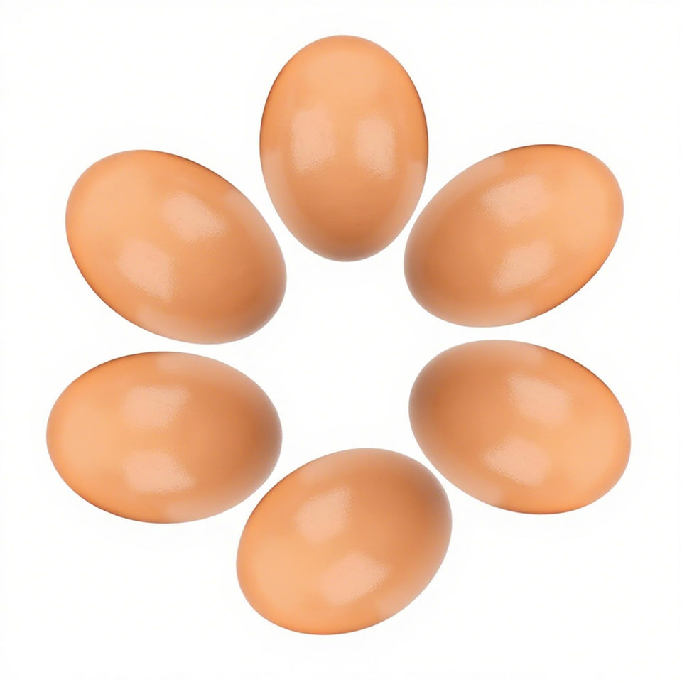 XINFEIBEI wooden eggs placed in a nesting box guide hens to lay in the box.