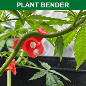 Xinjoduz curved-edge clip with deep groove secures stems gently.