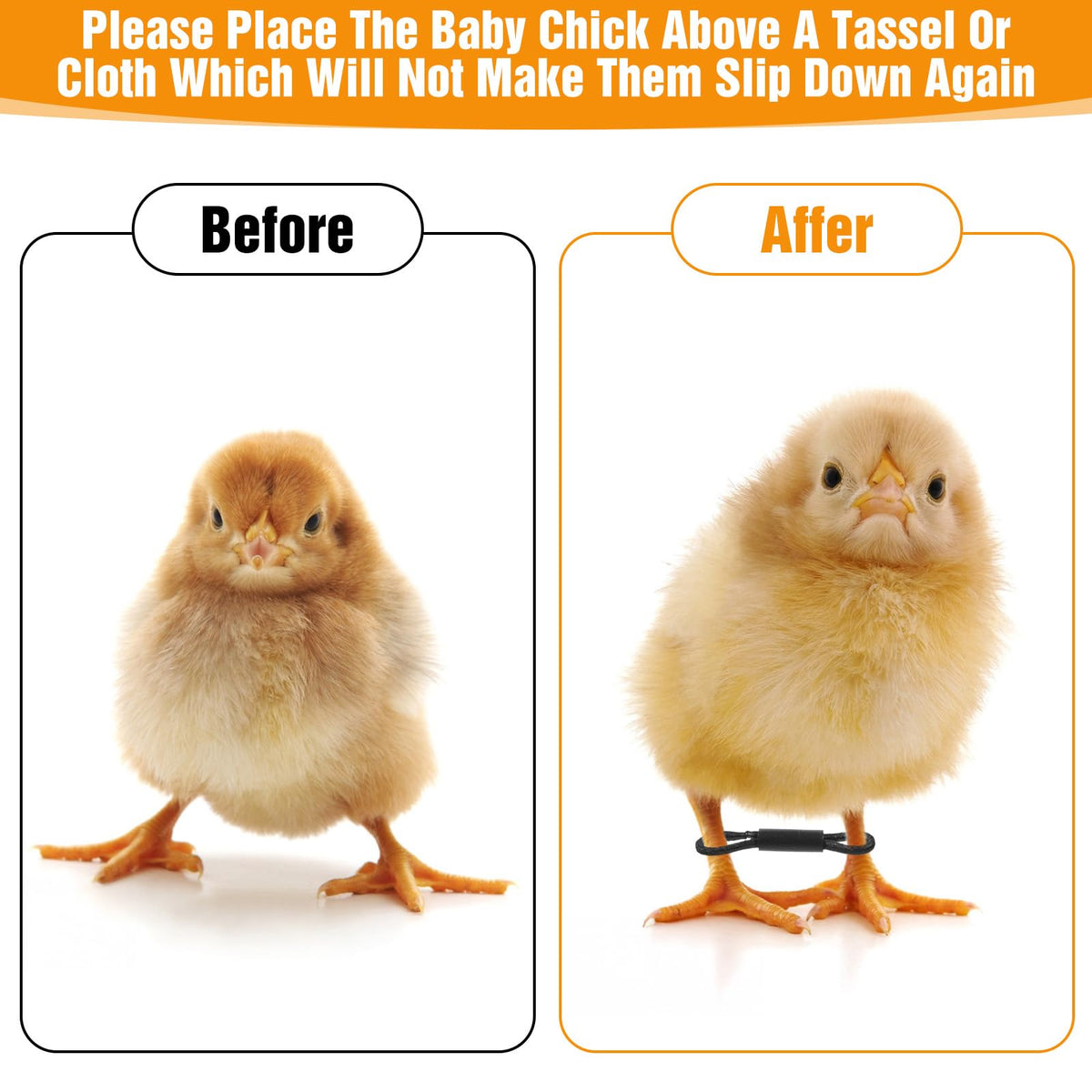 Xinjoduz durable rubber polyethylene construction promises reliable chick leg support.