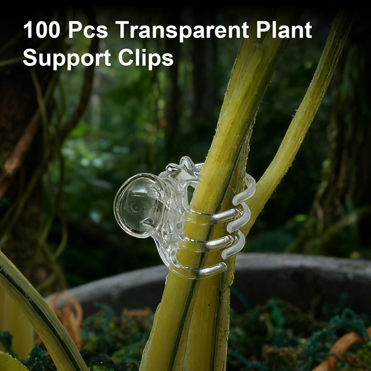Xinjoduz garden clips ideal for guiding vines along a trellis