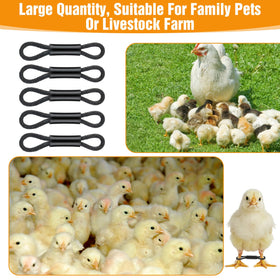 Xinjoduz spraddle leg support bands help chicks move more freely.