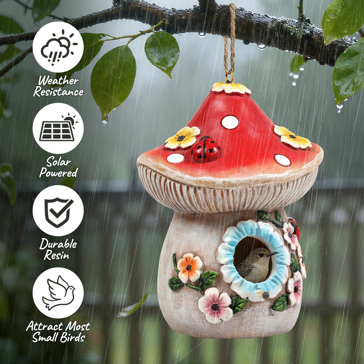 Xintim solar LED night glow illuminates the bird house