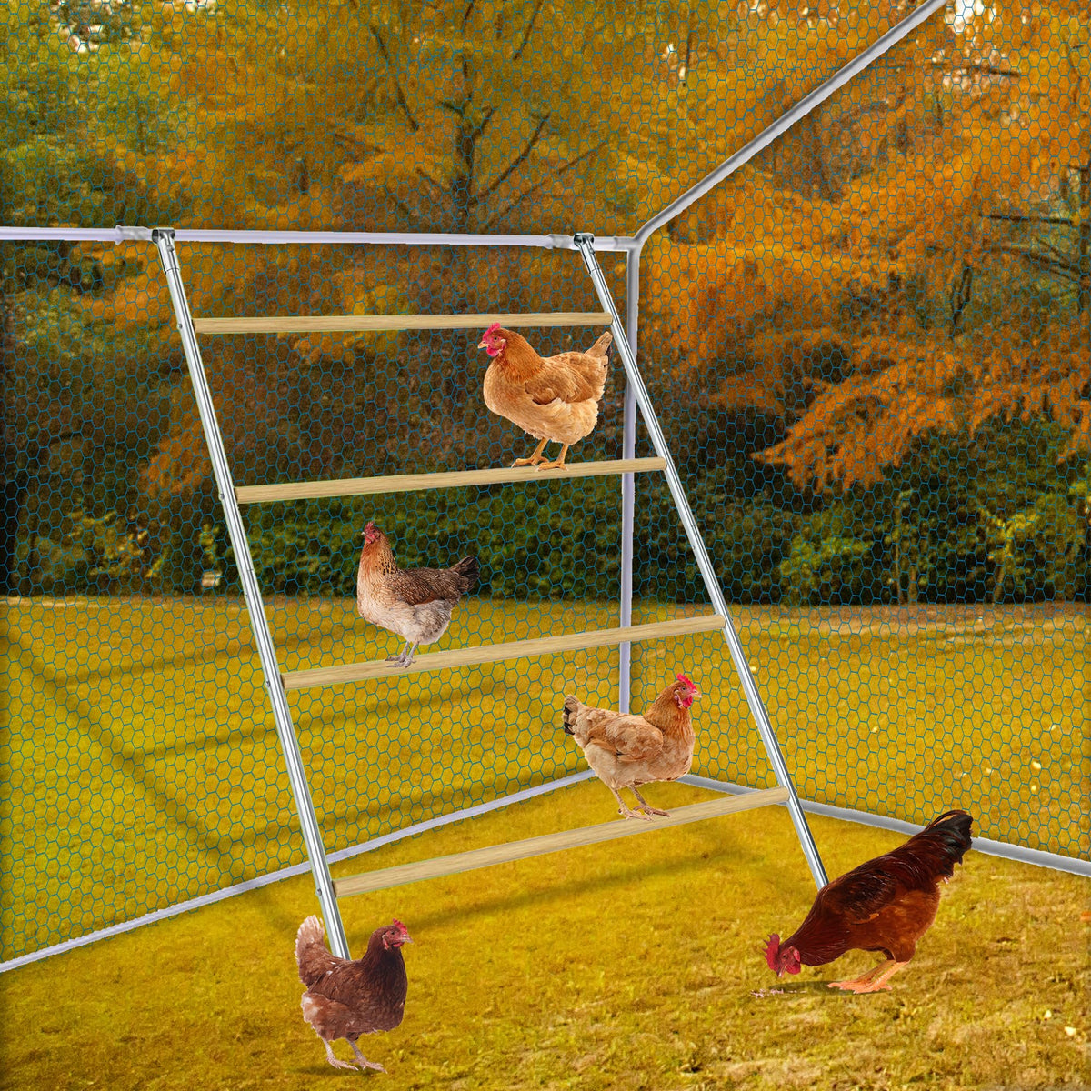 XINYI chicken roosting bar assembly kit for quick DIY installation.