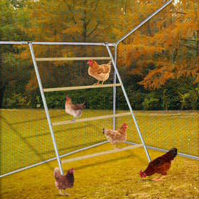 XINYI chicken roosting bar assembly kit for quick DIY installation.