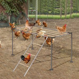 XINYI chicken roosting ladder in a coop, sturdy resting place for nightly perching.