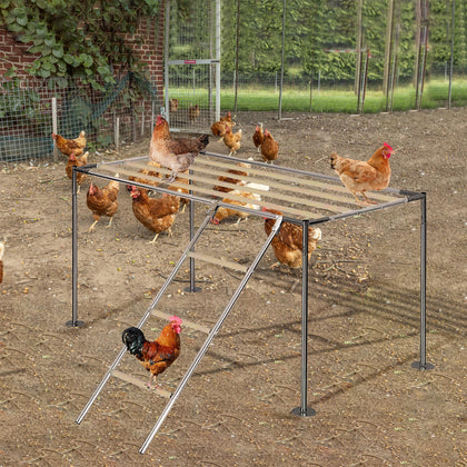 XINYI chicken roosting ladder in a coop, sturdy resting place for nightly perching.