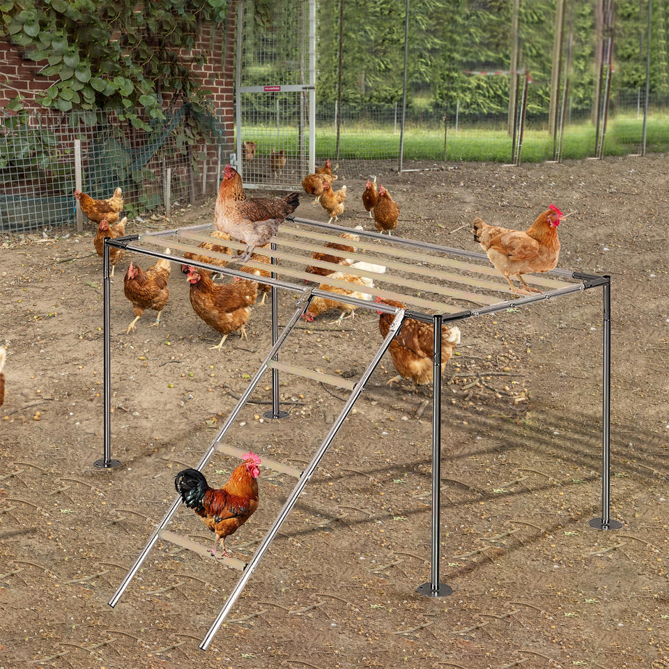XINYI chicken roosting ladder in a coop, sturdy resting place for nightly perching.