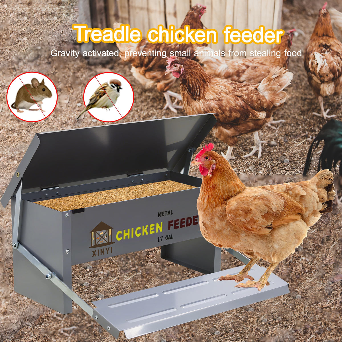 XINYI treadle feeder showing rodent-proof mechanism.
