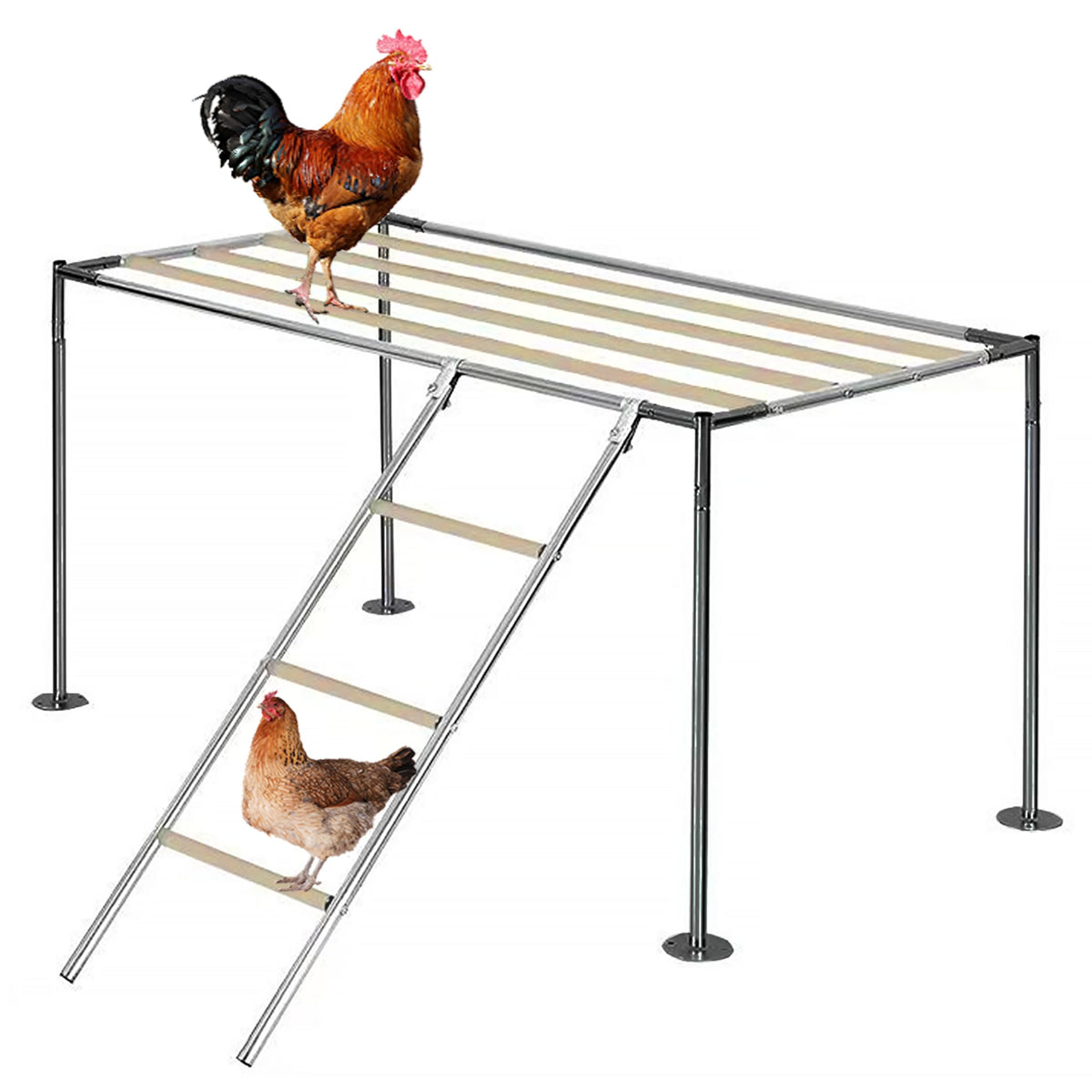 XINYI easy-to-clean coop design simplifies maintenance and cleanliness.