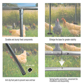 XINYI large chicken run area expands flock space and exercise.