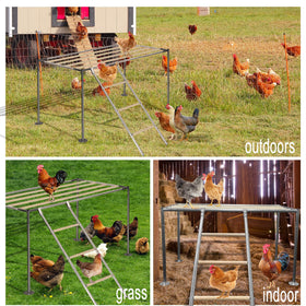 XINYI resting platform for chickens supports comfortable perches and easy access.