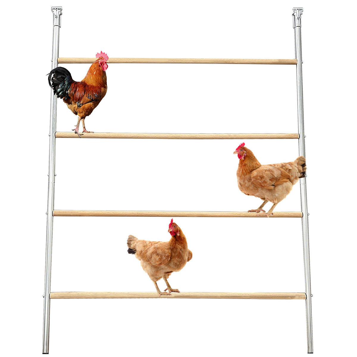 XINYI roosting bar integrated with metal coop for cohesive look.