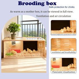 XITIANKJ Brooder Box interior showing space for up to 30 chicks