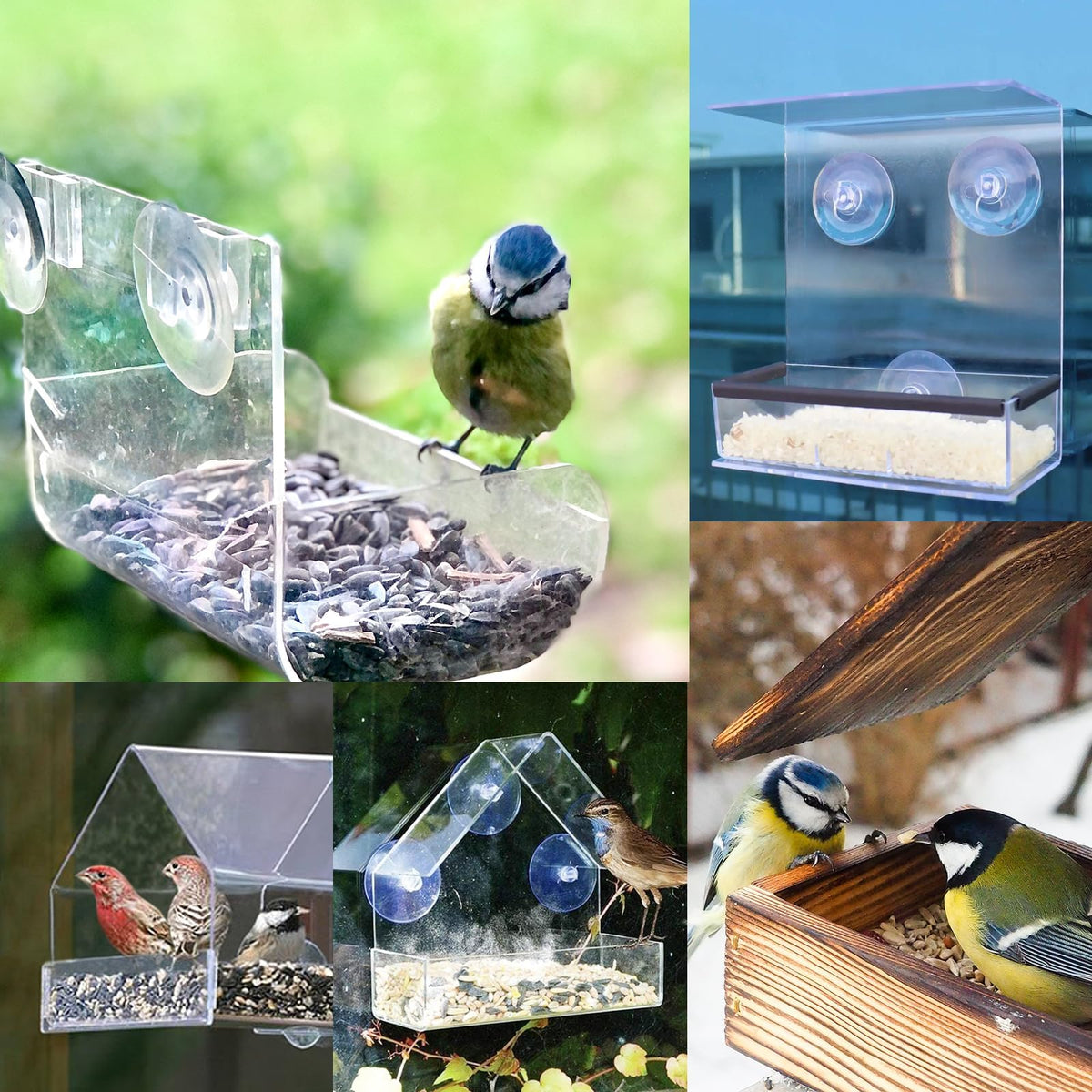 XJKJSX suction cups for window installation on smooth surfaces
