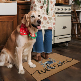 XLDLIOO 17x30 inch doormat fits most exterior doors with style.