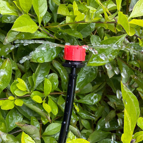 Xloey 360-degree spray emitter ensures even coverage across plants