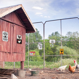 XLSXEXCL garden and farm decor signs enhance outdoor display