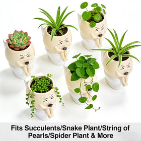 Xoevlix outdoor-friendly toilet planter adds a quirky focal point outside.