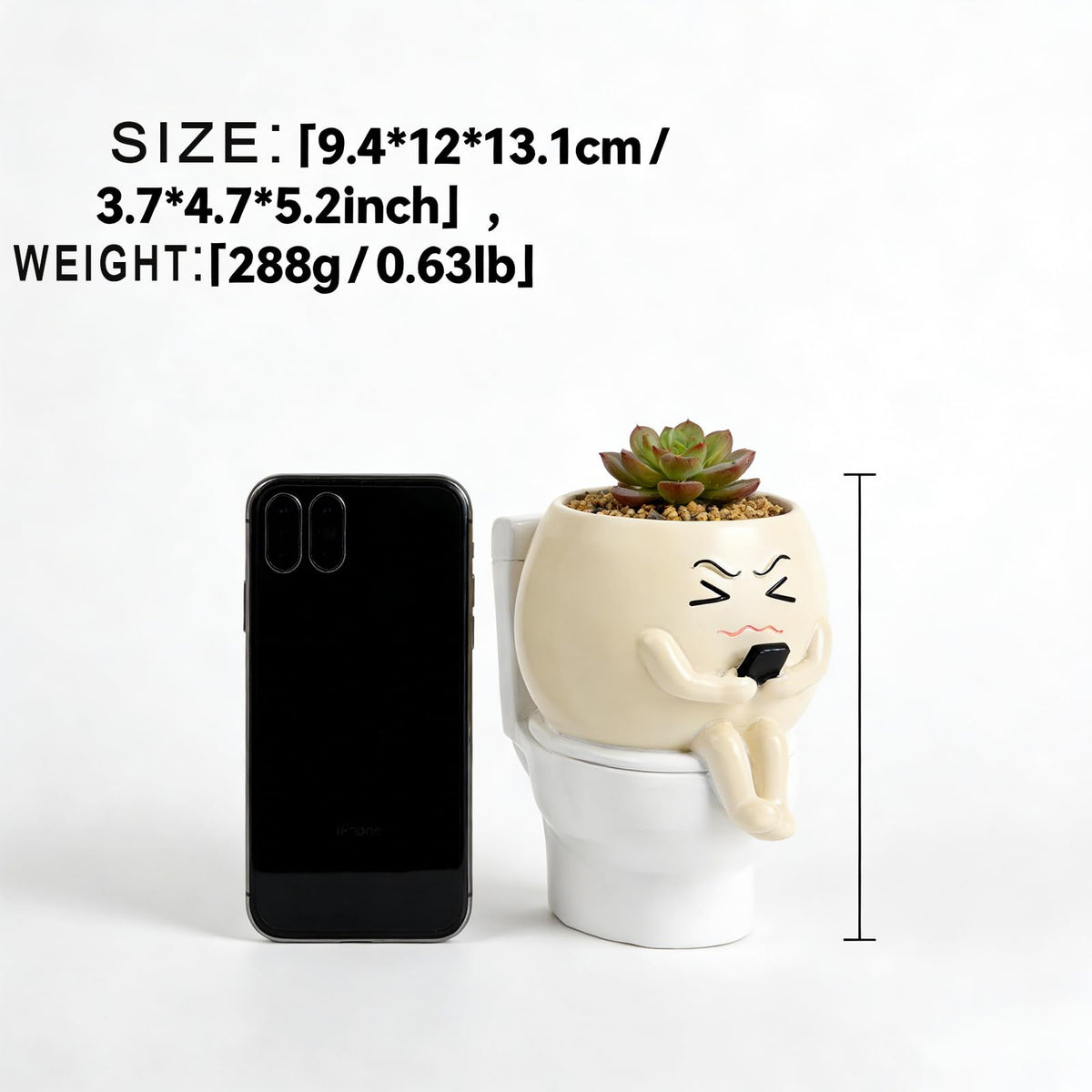 Xoevlix succulent pot in a bathroom corner brightens shelves.