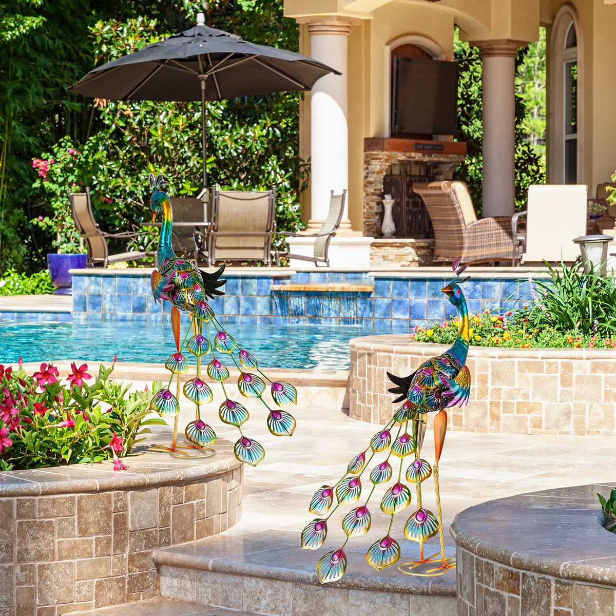 XONOR display for patio or shelf indoors or outdoors with vibrant color.