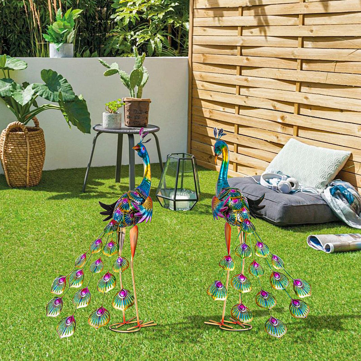 XONOR two-peacock display in garden provides balanced visual interest.