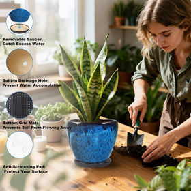 Xoogifae 10-inch orchid pot supports airflow and root health.